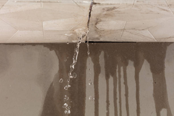 Professional Structural Drying technician working in Fraser, MI